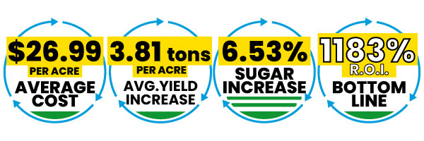 Sugar Beets Yield per Acre Average